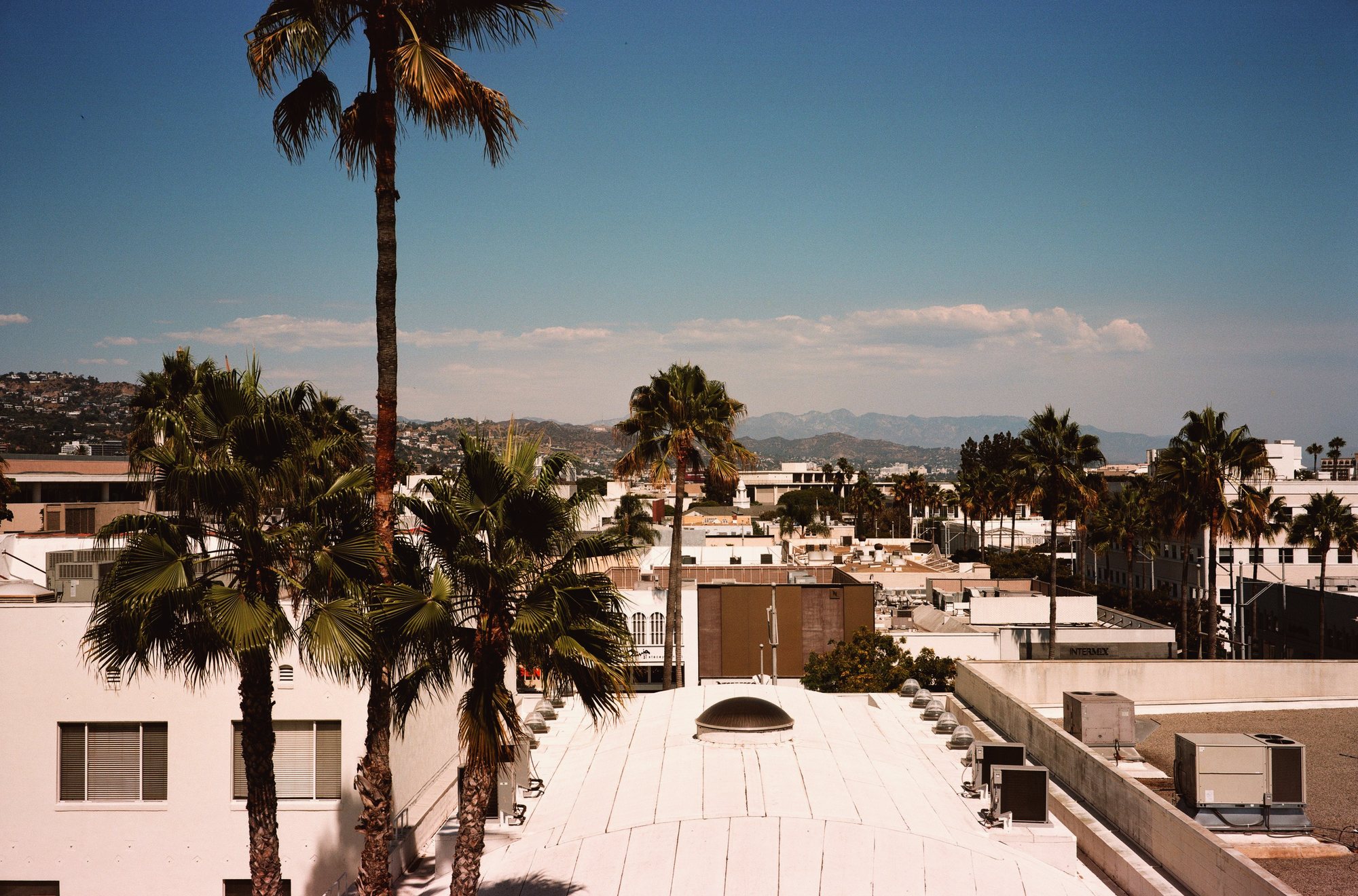 Toits de Los Angeles et palmiers sous un ciel bleu